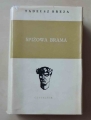 Tadeusz Breza, Spiżowa brama.jpg