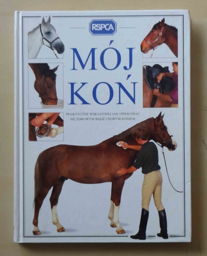 Colin Vogel, Mój koń.jpg