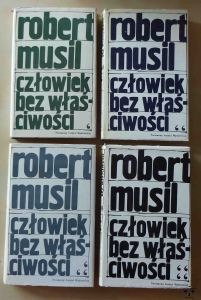 Robert Musil, Człowiek bez właściwości