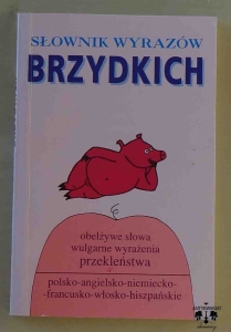 Słownik wyrazów brzydkich