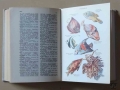 Larousse Pour Tous,4.jpg
