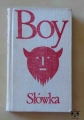 Boy, Słówka.jpg