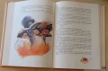 Jakub i Wilhelm Grimm, Wesele pani liszki,5.jpg